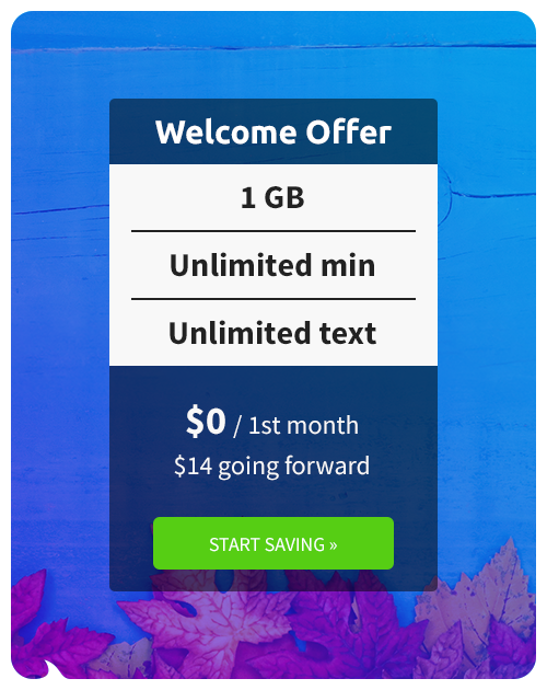 Starter Plan for Free 1GB + Unlimited Talk & Text