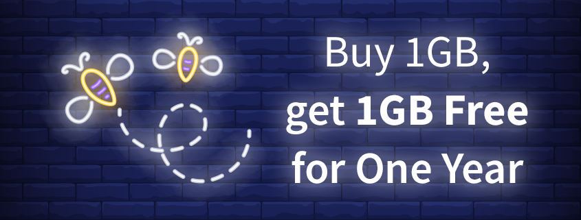 buy 1GB, get 1GB free